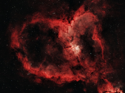 Heart