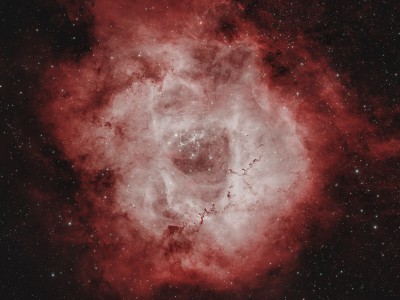 Rosette